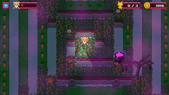 Lost Kittens: Maze Garden