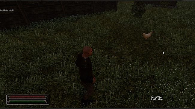 Viking Age: Odin's Warrior