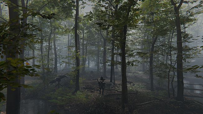 Deranged Park Rangers