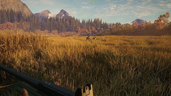 theHunter: Call of the Wild - Hunter Power Pack