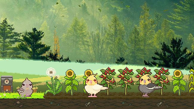 蛋岛的鸟The Birdies of Egg Island