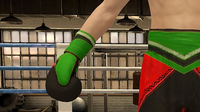 The Thrill Of The Fight 2 - Victory Gear Gloves