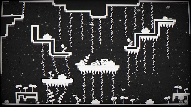 Cats Catching Mice: The Black and White World