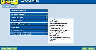 Professor Teaches Access 2013 & 365