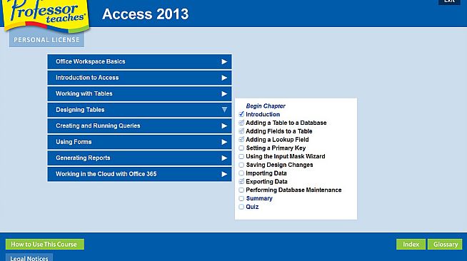 Professor Teaches Access 2013 & 365