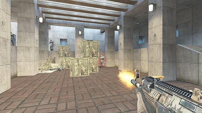 A.V.A Global - Starters Pack