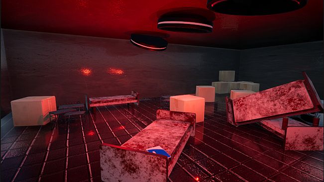 The Complex Chapter 1: Who, What, Where?