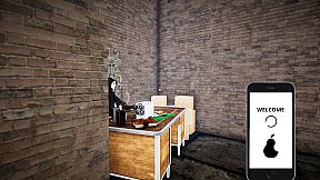 Streamer Life Simulator