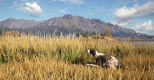theHunter: Call of the Wild - German Shorthaired Pointer