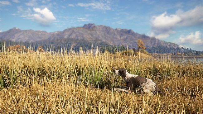 theHunter: Call of the Wild - German Shorthaired Pointer