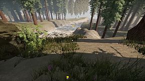 Missing Plane: Survival