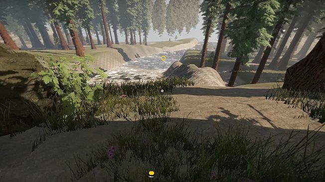 Missing Plane: Survival