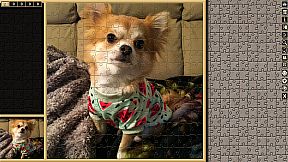 Pixel Puzzles Traditional Jigsaw Puzzles