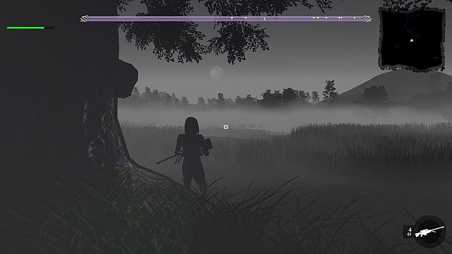 Android Amazones - Season 2