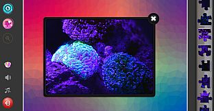 Under the Sea Jigsaw Puzzles