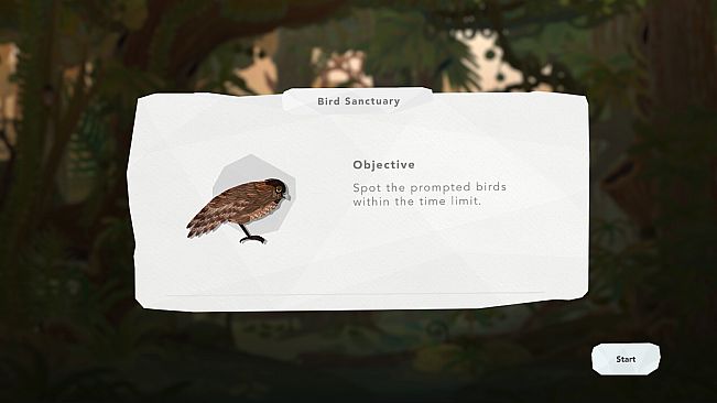 Junior Birder Adventure