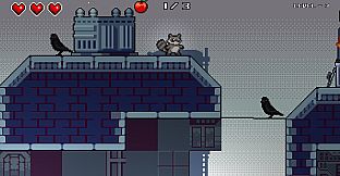 Raccoon is Hungry (Windows)