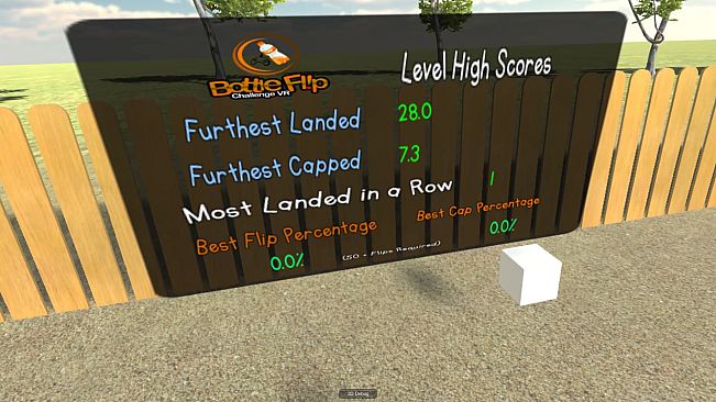 Bottle Flip Challenge VR