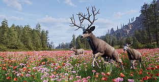 Way of the Hunter 2