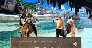 A Summer with the Shiba Inu