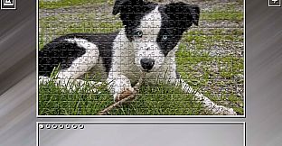 Super Jigsaw Puzzle: Generations - Dogs 2