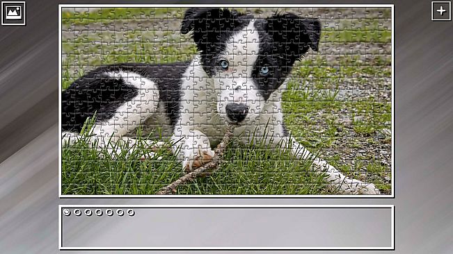Super Jigsaw Puzzle: Generations - Dogs 2
