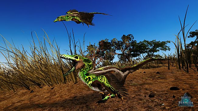 Beasts of Bermuda - Velociraptor Supporter Warpaint