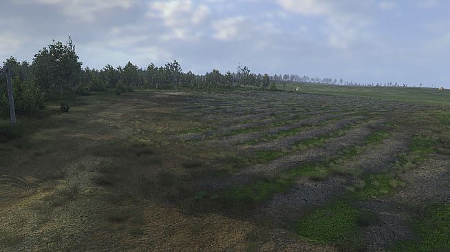 Graviteam Tactics: Dark Forest