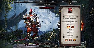 Divinity: Original Sin 2 - Divine Edition