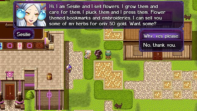 The Black Knight Chronicles - The Widow without Time