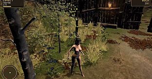 Catch the Witch