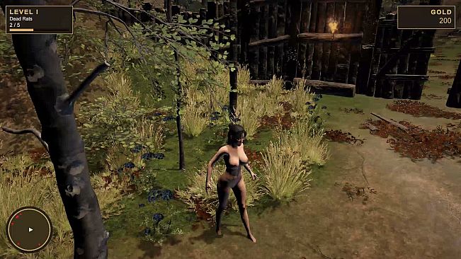 Catch the Witch