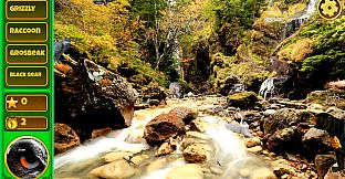 Hidden Animals: English - Spanish