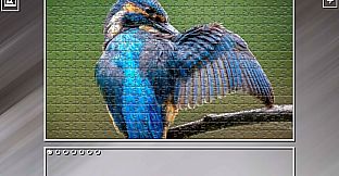 Super Jigsaw Puzzle: Generations - Birds 2