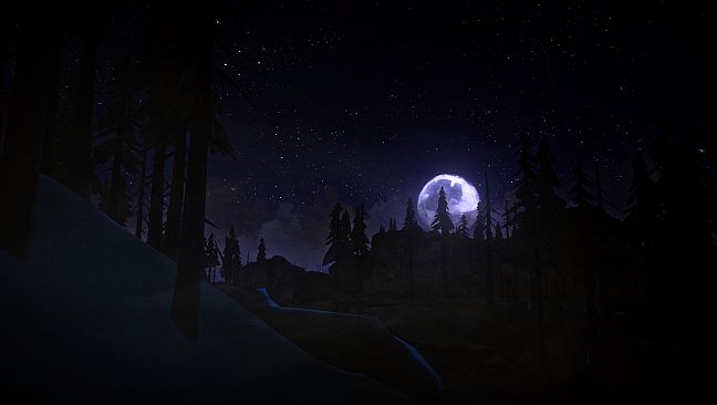 The Long Dark