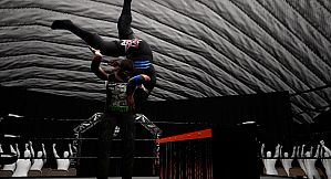 Mark Out! The Wrestling Card Game