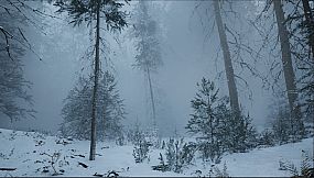 Demise: Survival Uncharted