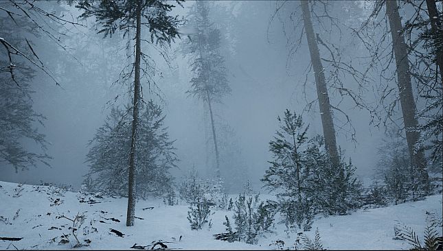 Demise: Survival Uncharted