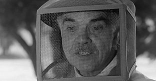 ROUGH KUTS: The Wasp Woman