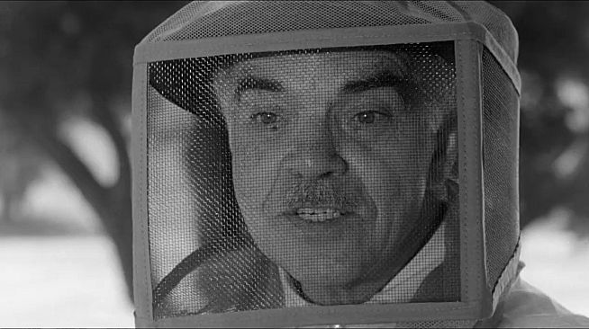 ROUGH KUTS: The Wasp Woman