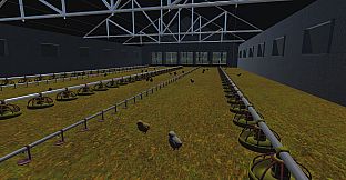 Chicken Inc.