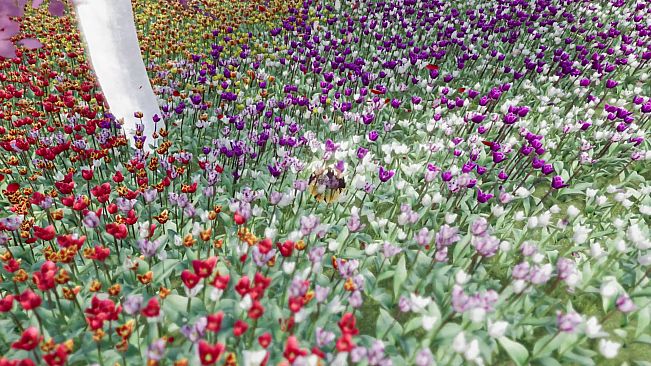 The Ball Flow - Nature and Light