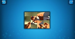 PUZZLE: CATS & DOGS - Puzzle Pack: Summer Dogs