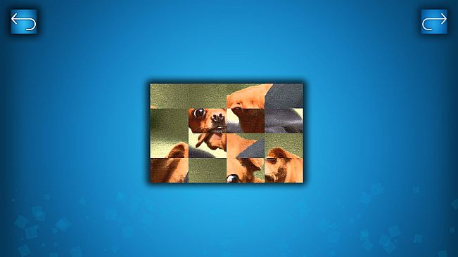 PUZZLE: CATS & DOGS - Puzzle Pack: Summer Dogs