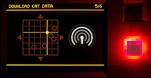 Have You Seen This Cat?