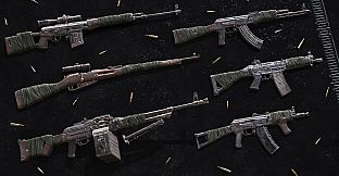 Insurgency: Sandstorm - Accolade Set Bundle