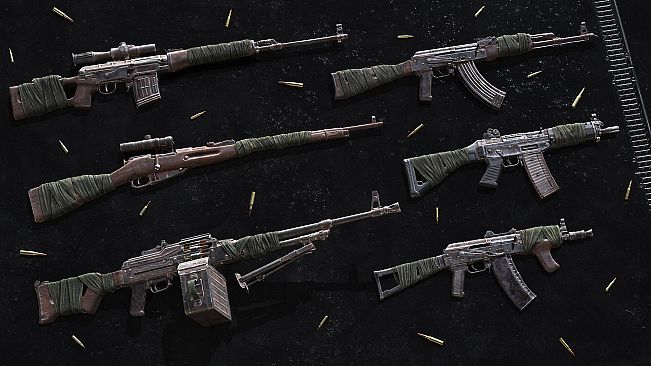 Insurgency: Sandstorm - Accolade Set Bundle