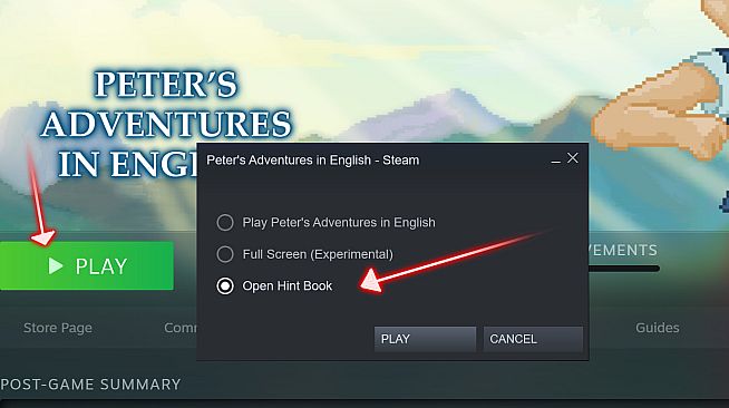 Peter's Adventures in English - Hint Book