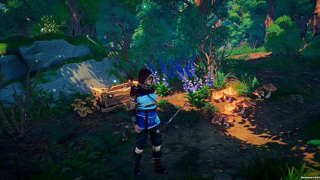 Naya: The Forgotten Path