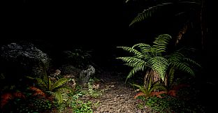 Red Light White Light